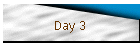 Day 3